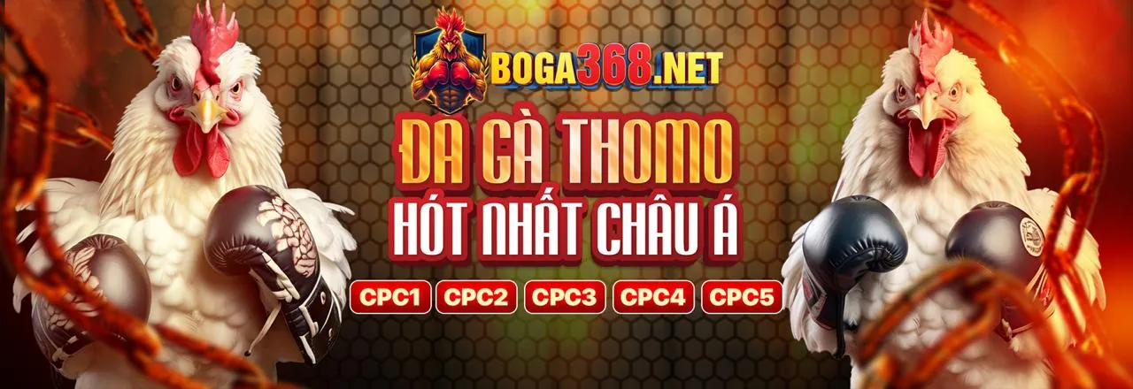Cá Cược Thể Thao Đỉnh Cao tại Win2026VN